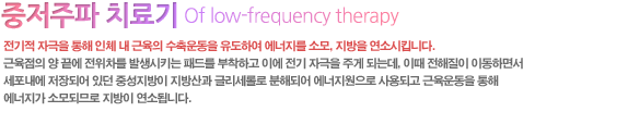 전기적 자극을 통해 인체 내 근육의 수축운동을 유도하여 에너지를 소모, 지방을 연소시킵니다.
근육점의 양 끝에 전위차를 발생시키는 패드를 부착하고 이에 전기 자극을 주게 되는데, 이때 전해질이 이동하면서 세포내에 저장되어 있던 중성지방이 지방산과 글리세롤로 분해되어 에너지원으로 사용되고 근육운동을 통해 에너지가 소모되므로 지방이 연소됩니다.