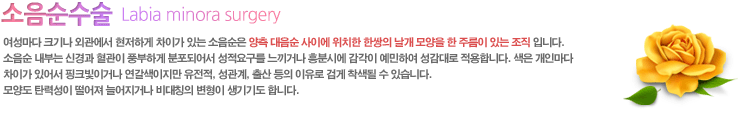 여성마다 크기나 외관에서 현저하게 차이가 있는 소음순은 양측 대음순 사이에 위치한 한쌍의 날개 모양을 한 주름이 있는 조직입니다. 소음순 내부는 신경과 혈관이 풍부하게 분포되어서 성적욕구를 느끼거나 흥분시에 감각이 예민하여 성감대로 작용합니다. 색은 개인마다 차이가 있어서 핑크빛이거나 연갈색이지만 유전적 성관계, 출산 등의 이유로 검게 착색될 수 있습니다. 모양도 탄력성이 떨어져 늘어지거나 비대칭의 변형이 생기기도 합니다.